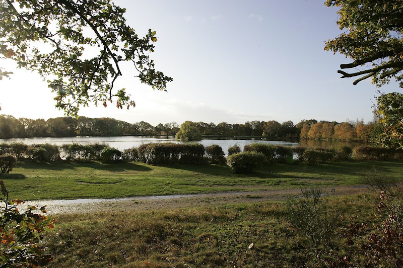 Wanstead Birder Wanstead Park, part 2
